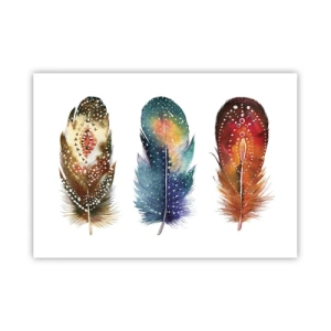 Plagát - Rituály, obrady, tajomstvá - 100x70 cm