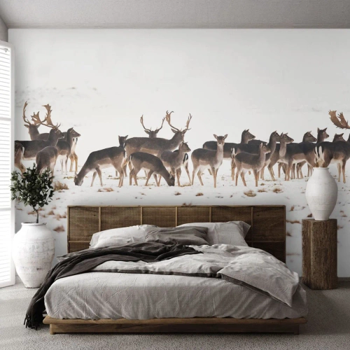Fototapeta Premium Canvas - Budú sviatky? - Zvieratá, Jeleň, Príroda - 400x280 cm