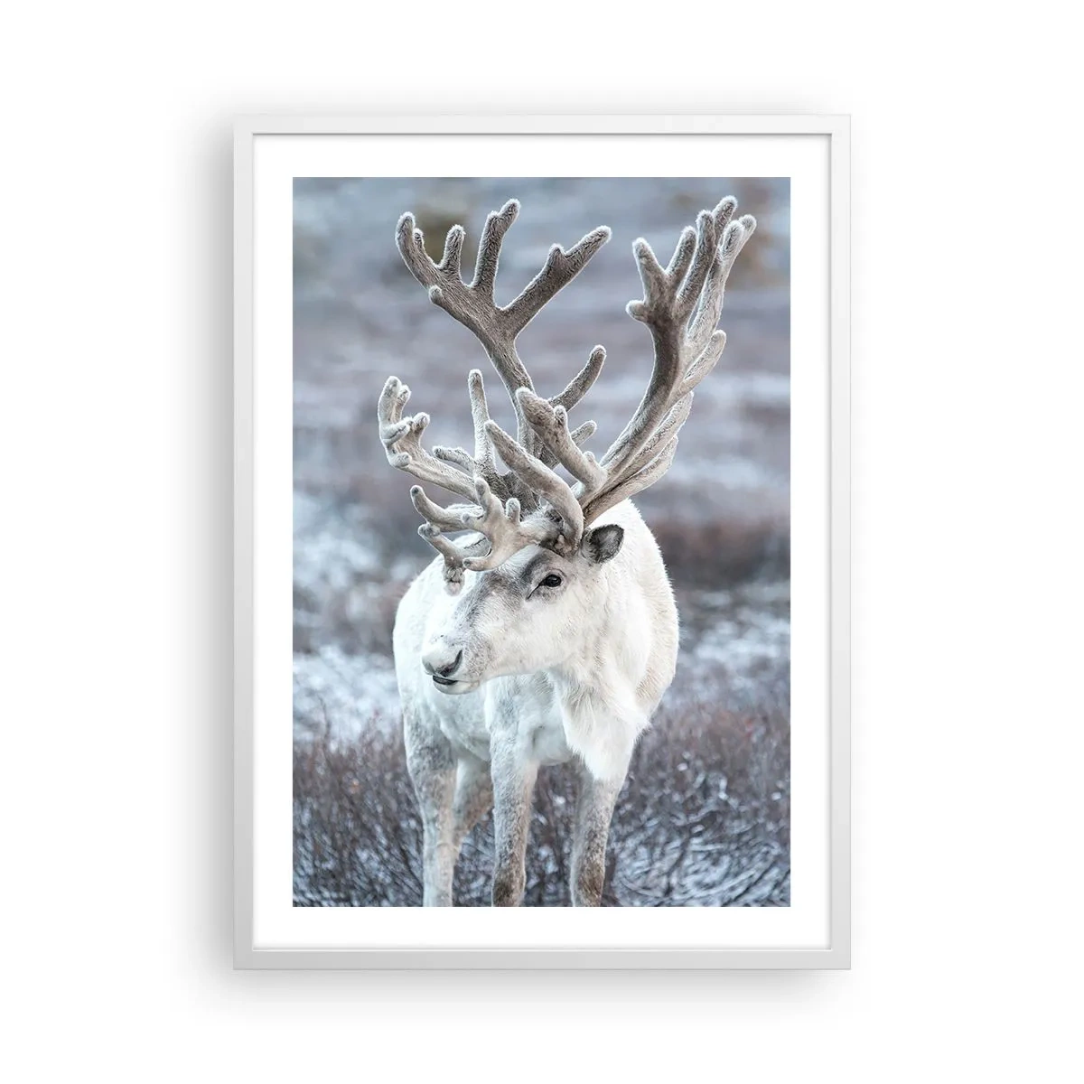 Plagát v bielom ráme - Slnečný portrét - 50x70 cm