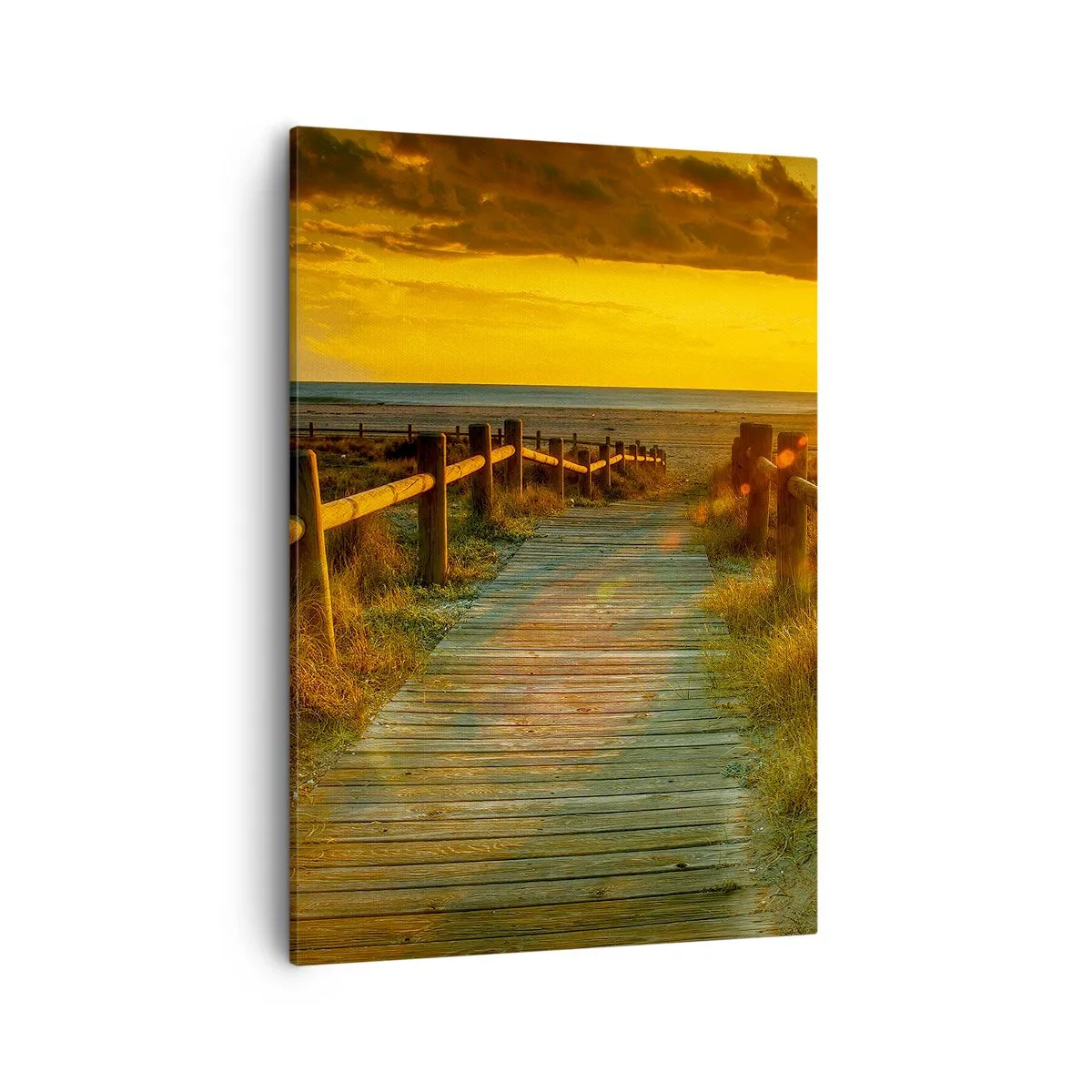 Obraz na plátne - Vykúpané v starom zlate - 50x70 cm