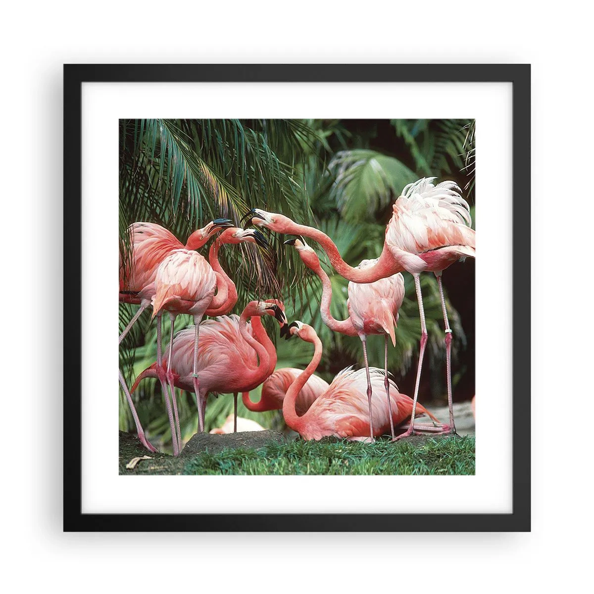 Plagát v čiernom ráme - Popoludňajšie klebety - 40x40 cm