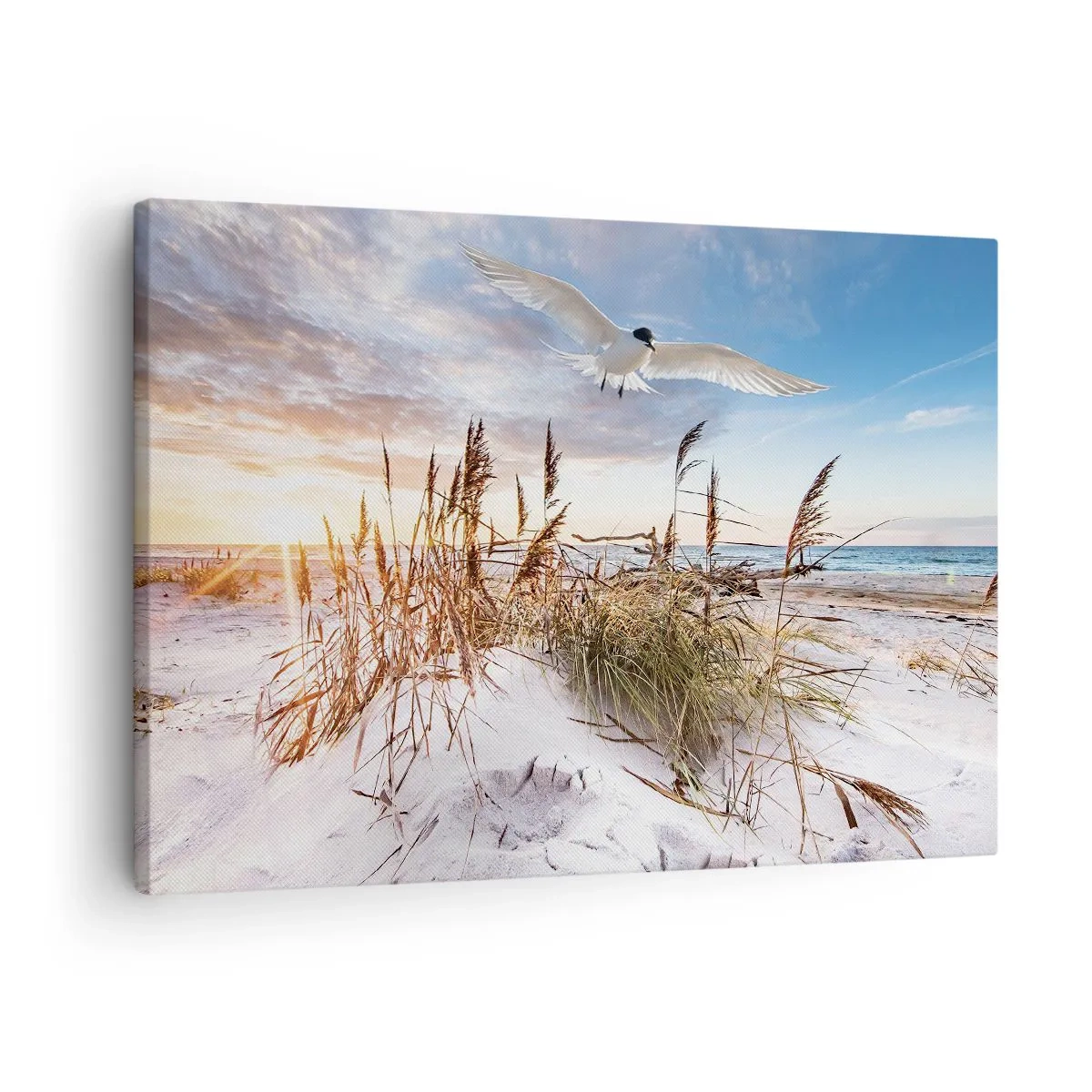 Obraz na plátne - Pláž s čajkami lietajúcimi pri západe slnka - 70x50cm - Vietor od mora - Moderná nástenná dekorácia do obývacej izby a spálne ARTTOR