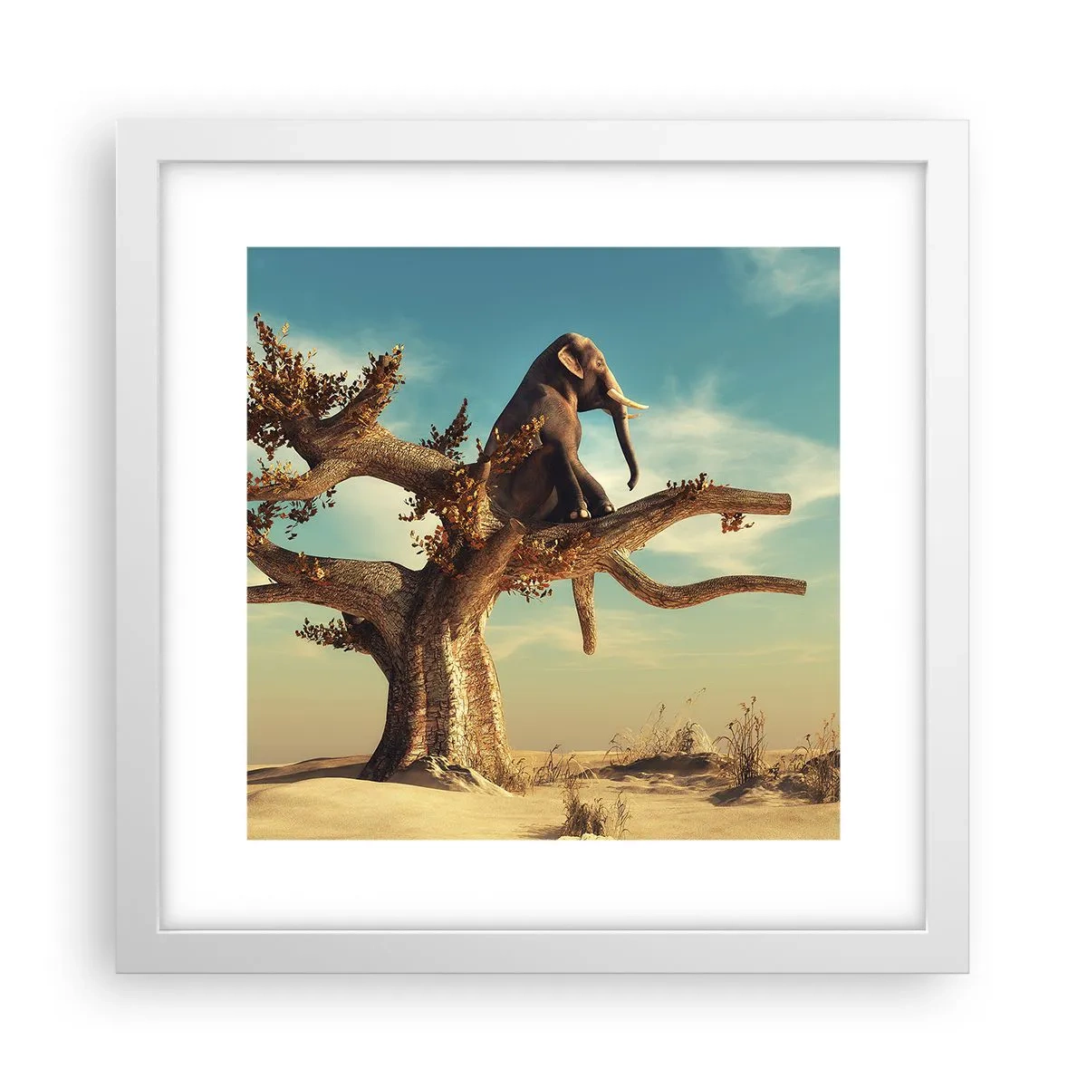 Plagát v bielom ráme - Nový uhol pohľadu - 30x30 cm