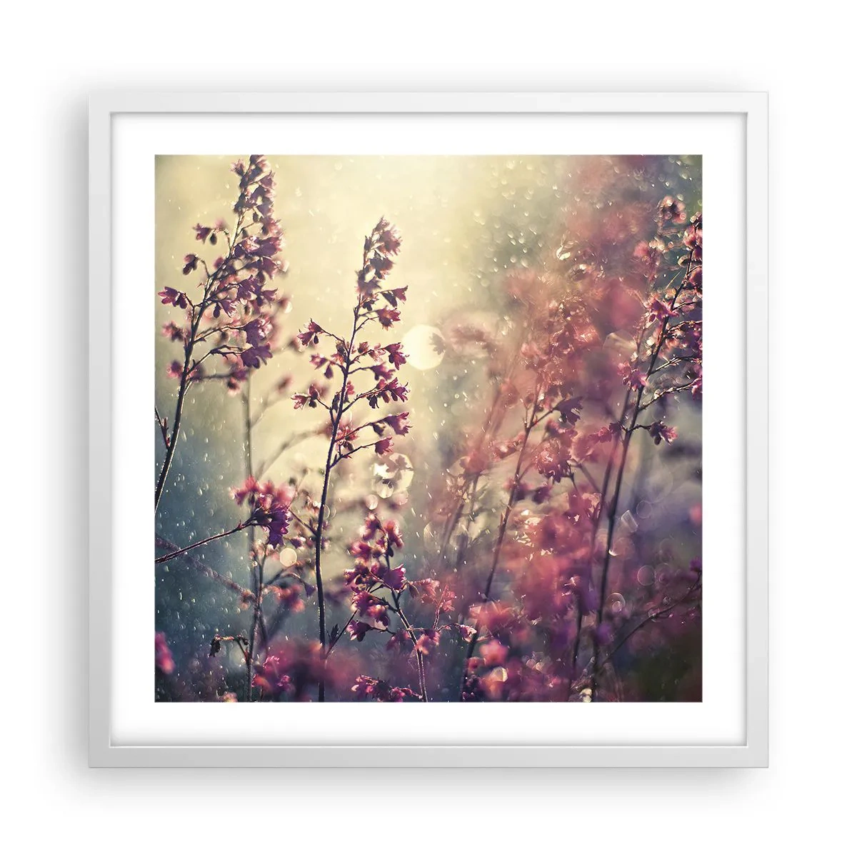 Plagát v bielom ráme - Tajná záhrada - 50x50 cm