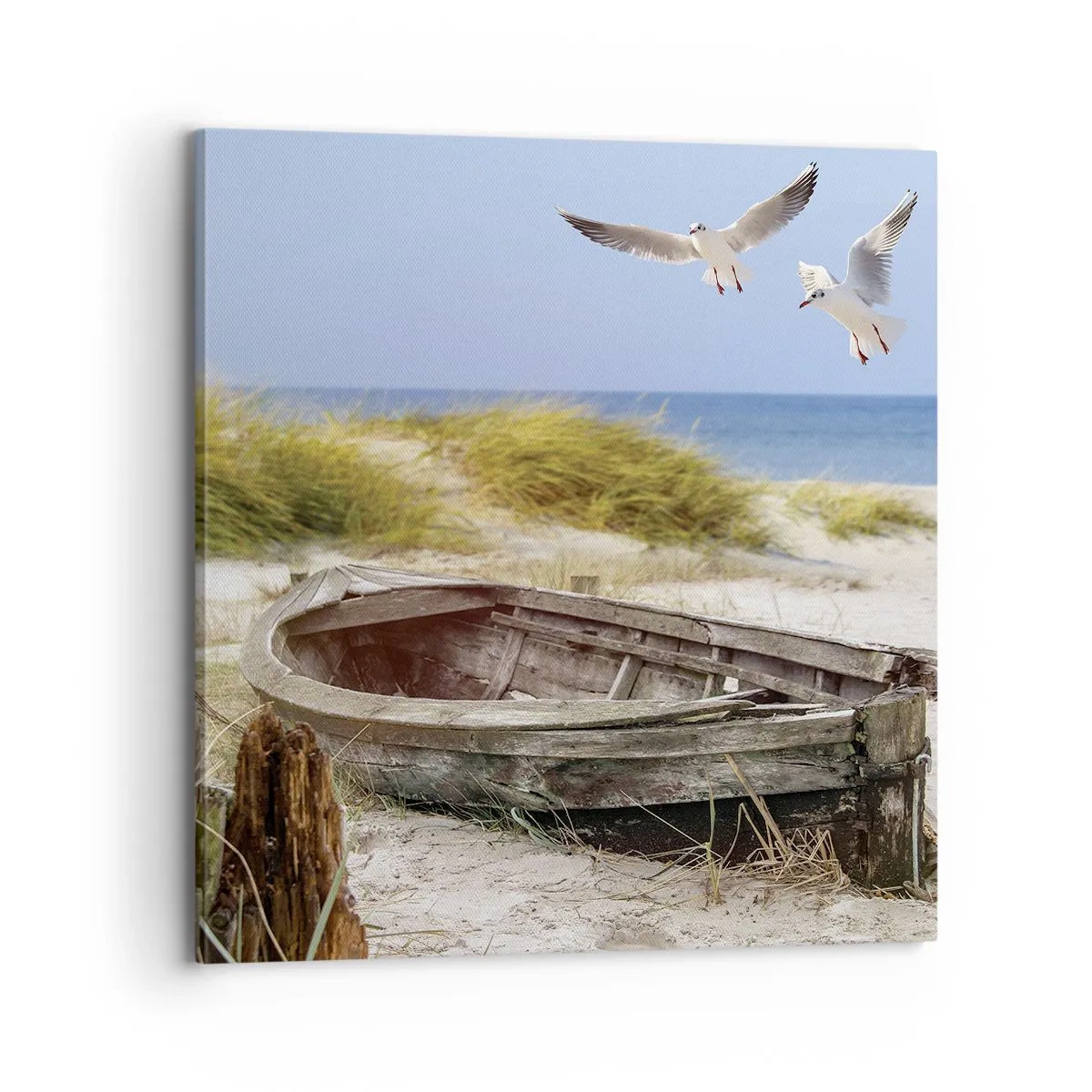 Obraz na plátne - Vetrom ožiarené - 70x70 cm