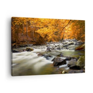 Obraz na plátne - Potok v jesennom lese obklopený zlatými listami - 70x50cm - Potok v zlatom lese - Moderná nástenná dekorácia do obývacej izby a spálne ARTTOR
