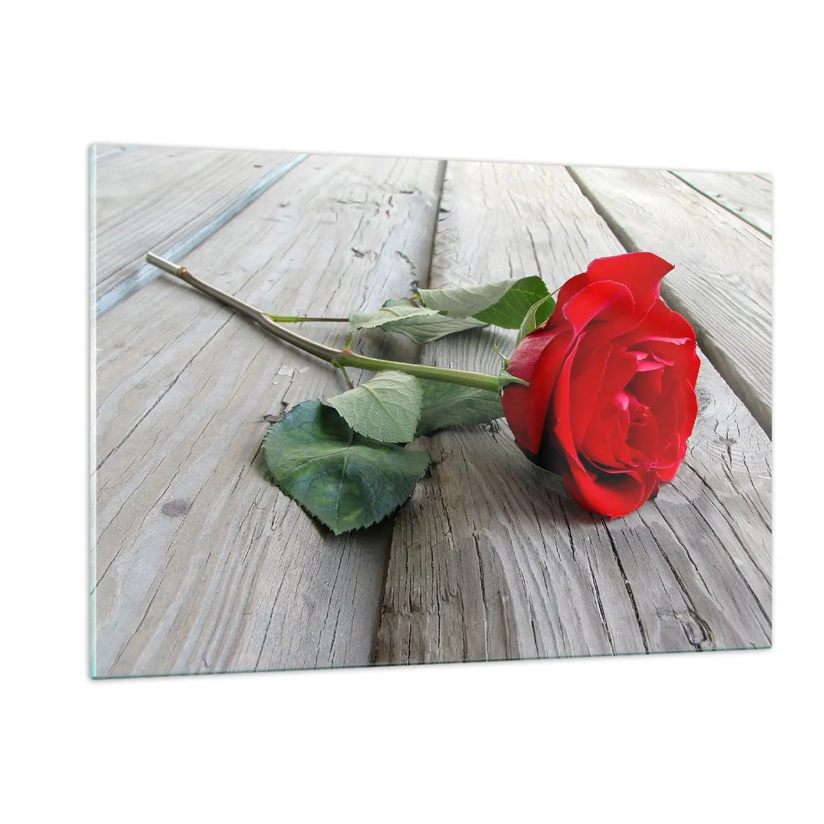 Obraz na skle - Štúdia v šarlátovej - 120x80 cm