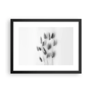 Plagát v čiernom ráme - Našuchorená tráva - 40x30 cm