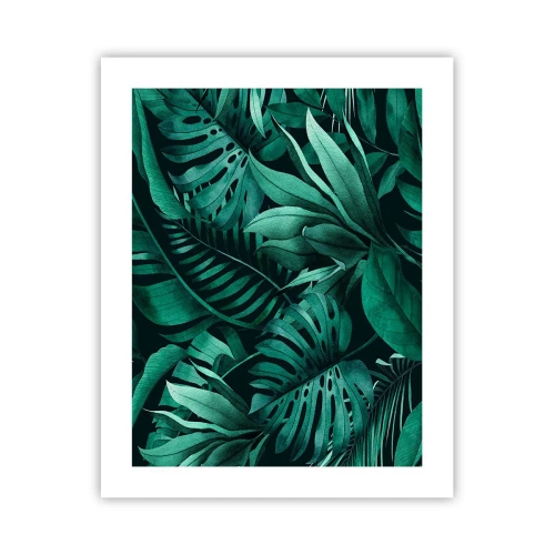 Plagát - Hĺbka tropickej zelene - 40x50 cm