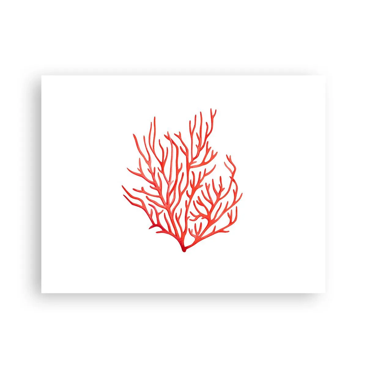 Plagát - Koralový filigrán - 40x30 cm