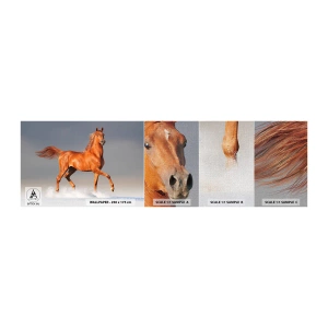 Vzorka fototapety Premium Canvas - Tancujúca elegancia - Zvieratá, Kôň, Príroda - 100x30 cm