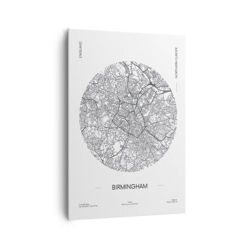 Obraz na plátne - Anatómia Birminghamu - 70x100 cm