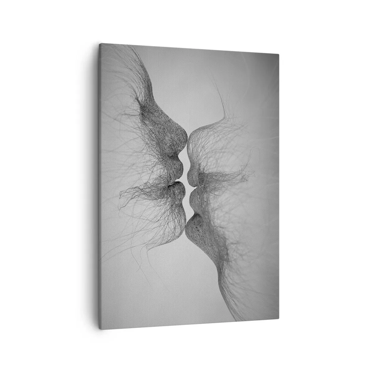 Obraz na plátne - Bozk vetra - 50x70 cm