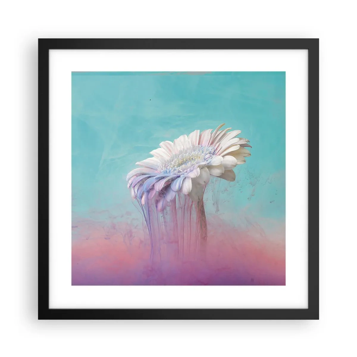 Plagát v čiernom ráme - Záhrobia kvetín - 40x40 cm