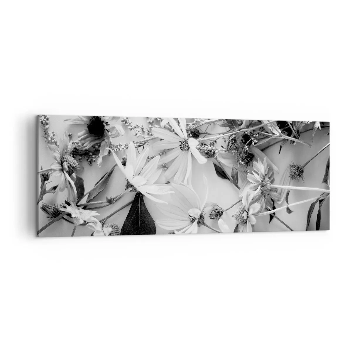 Obraz na plátne - Kvety bez kytice - 140x50 cm