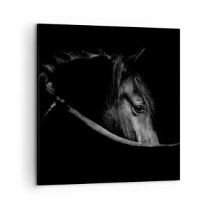 Obraz na plátne - Čierny knieža - 50x50 cm