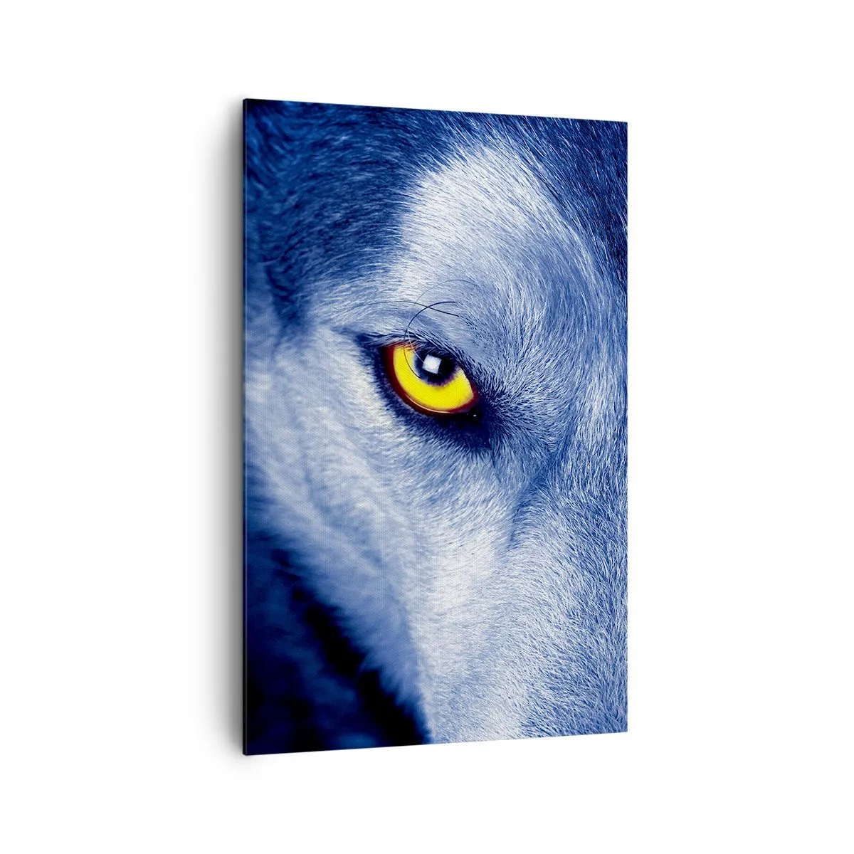 Obraz na plátne - Fascinujúci pohľad - 80x120 cm