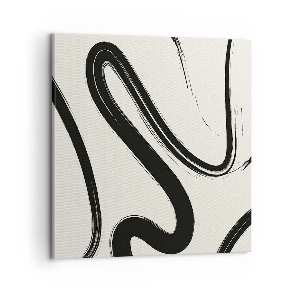 Obraz na plátne - Čiernobiely rozmar - 60x60 cm