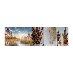 Vzorka fototapety Premium Sand - Severná pláž - Krajina, More, Pláž - 100x30 cm