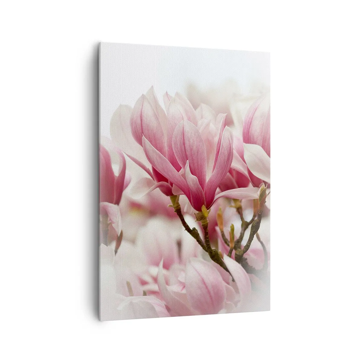 Obraz na plátne - Jarné kvety - 70x100 cm