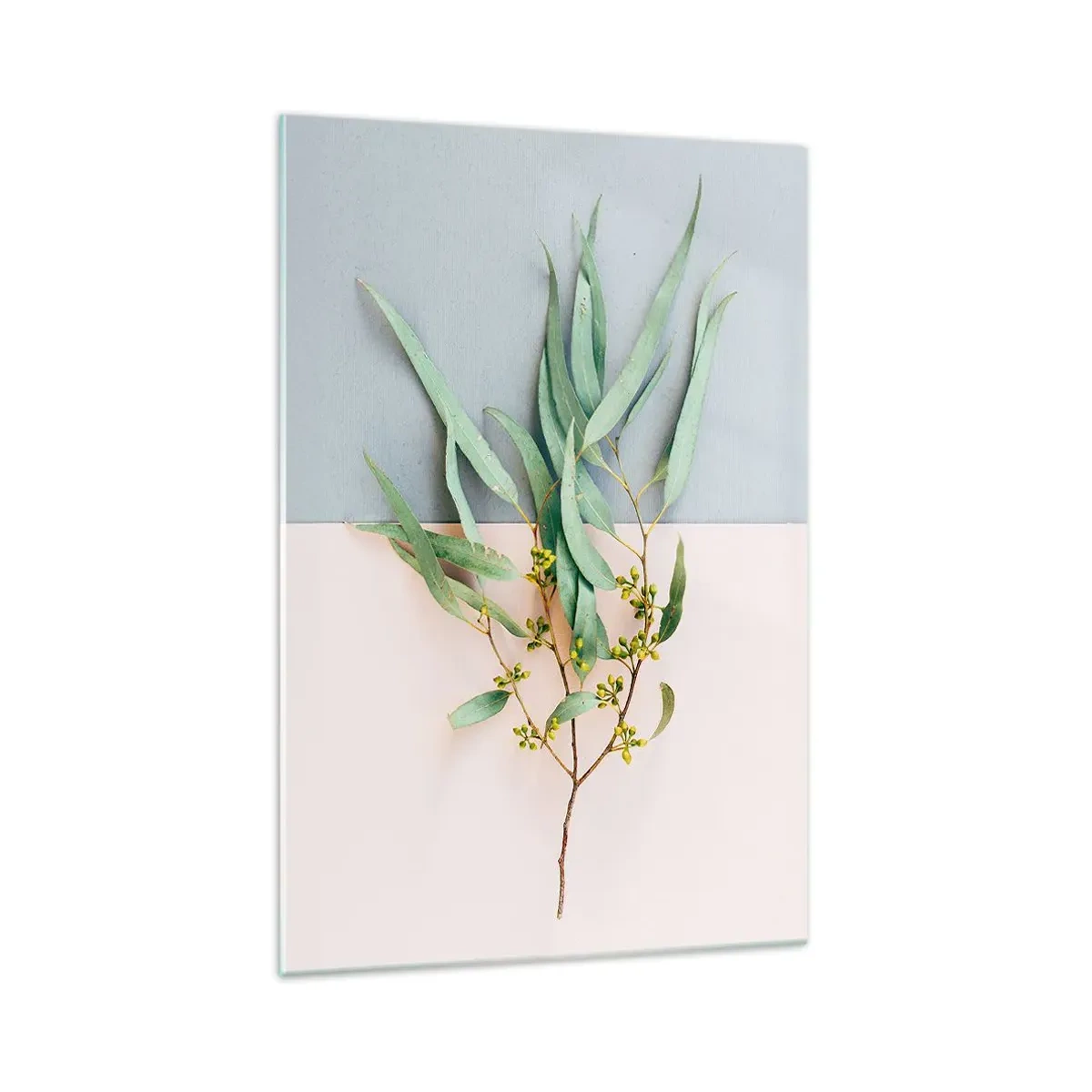 Obraz na skle - Pastelová jemnosť - 70x100 cm