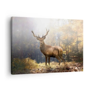 Obraz na plátne - Jeleň v jesennom lese so slnečnými lúčmi - 70x50cm - Plné dôstojnosti - Moderná nástenná dekorácia do obývacej izby a spálne ARTTOR