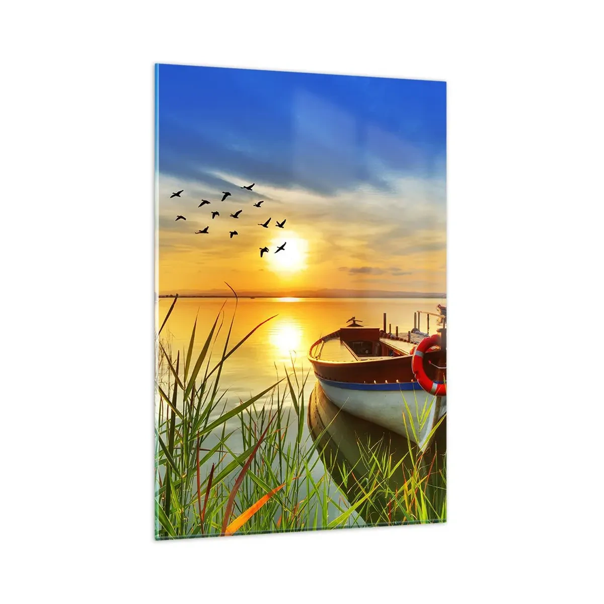 Obraz na skle - Kormorány už odlietajú - 80x120 cm