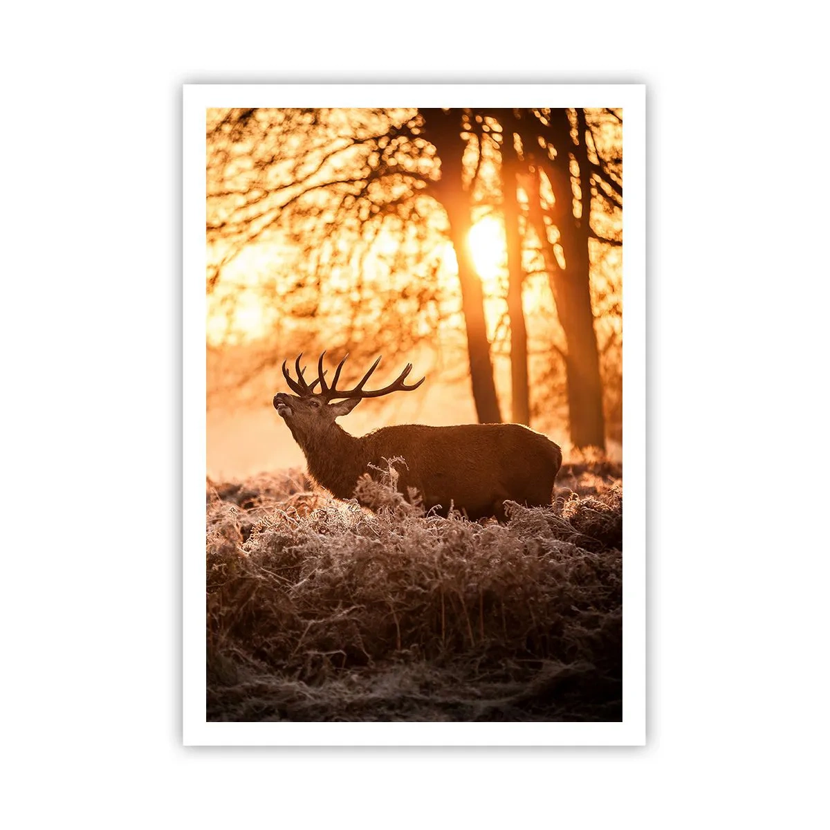 Plagát - Sen poľovníka - 70x100 cm