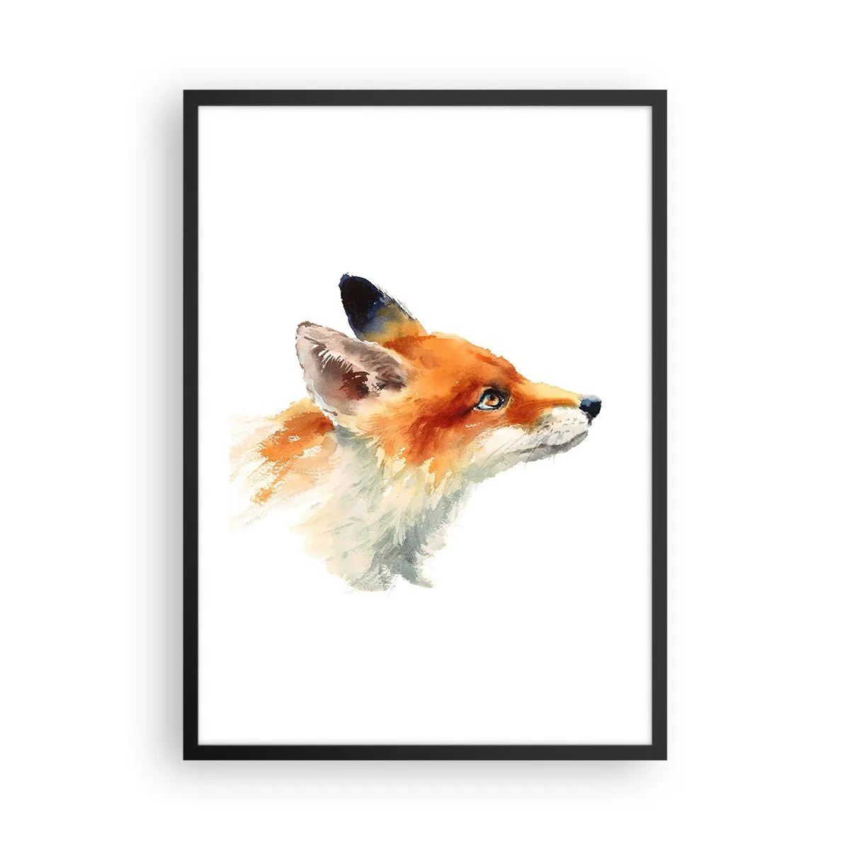 Plagát v čiernom ráme - Akvarelová portrét líšky červenej - 50x70cm - Opatrnosti nie je nikdy dosť - Moderná nástenná dekorácia do obývacej izby a spálne ARTTOR