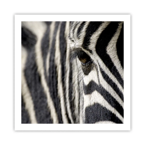 Plagát - Portrét s pruhmi - 60x60 cm