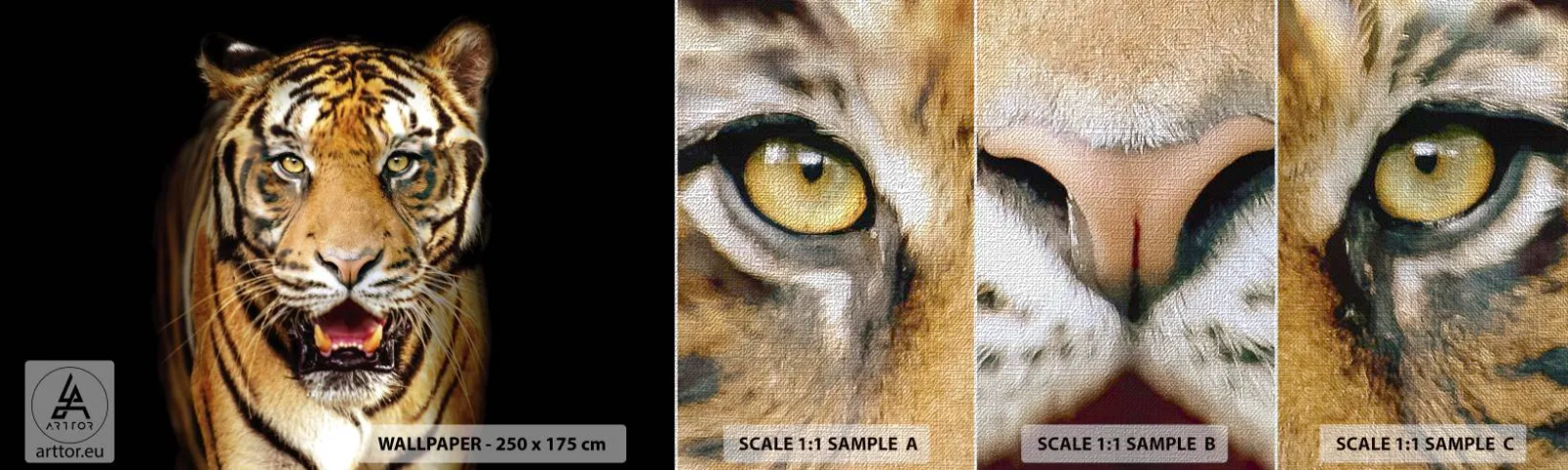 Vzorka fototapety Premium Canvas - Divokosť v srdci - Zvieratá, Tiger, Predátor - 100x30 cm