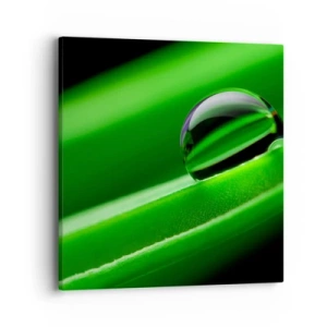 Obraz na plátne - Život zblízka - 40x40 cm