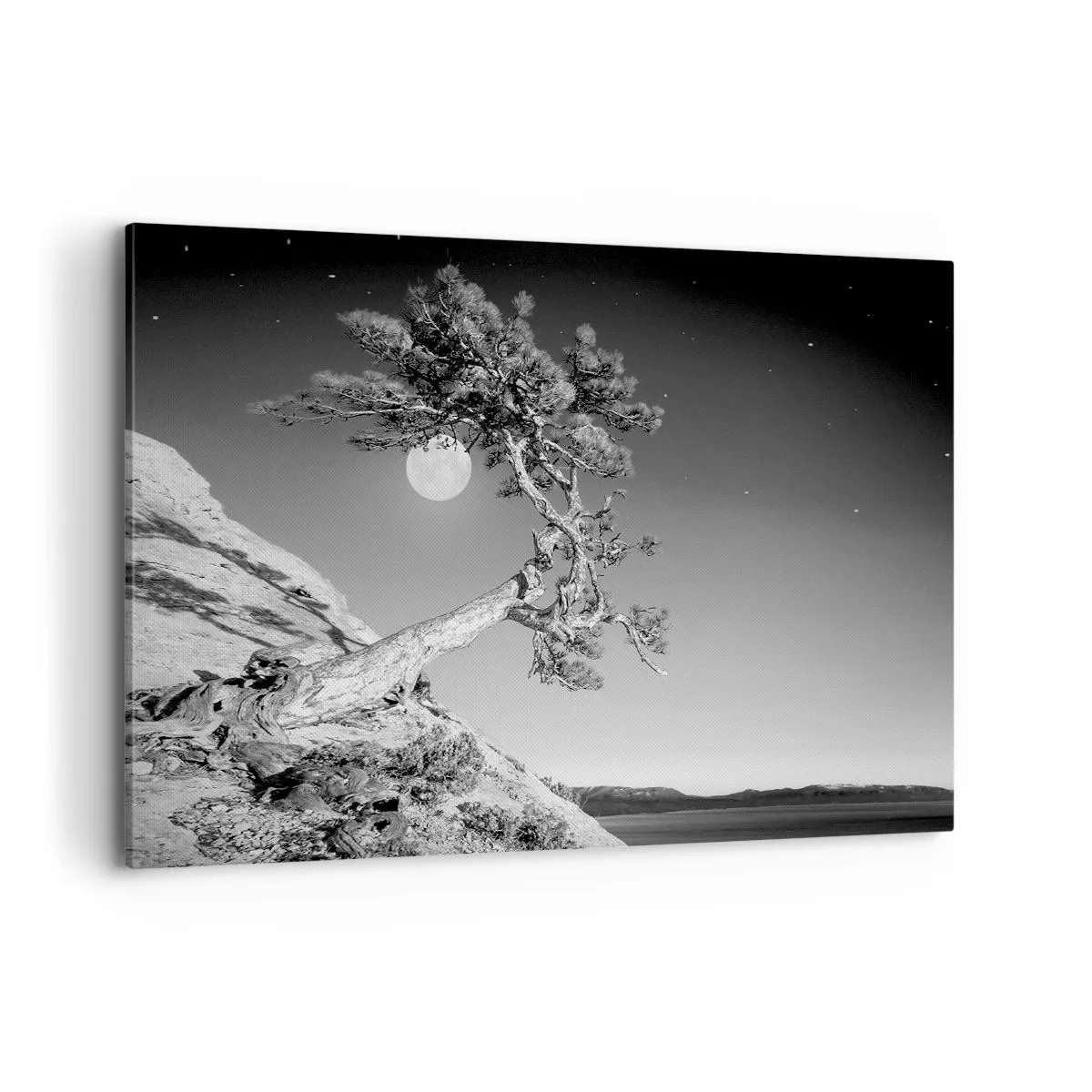 Obraz na plátne - Víťazná bojovníčka - 100x70 cm
