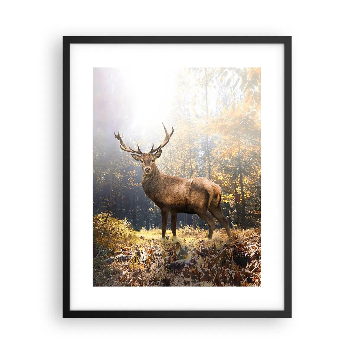 Plagát v čiernom ráme - Plné dôstojnosti - 40x50 cm