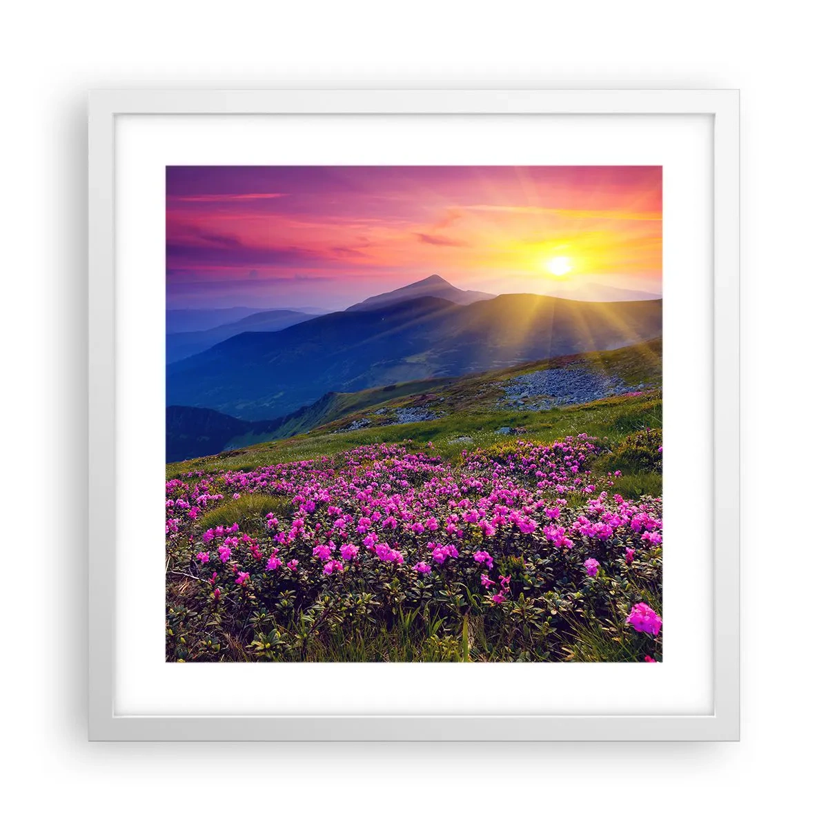 Plagát v bielom ráme - …A okolo vonia kosodrevina a voňajú byliny - 40x40 cm