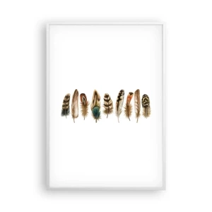 Plagát v bielom ráme - Operená variácia - 70x100 cm