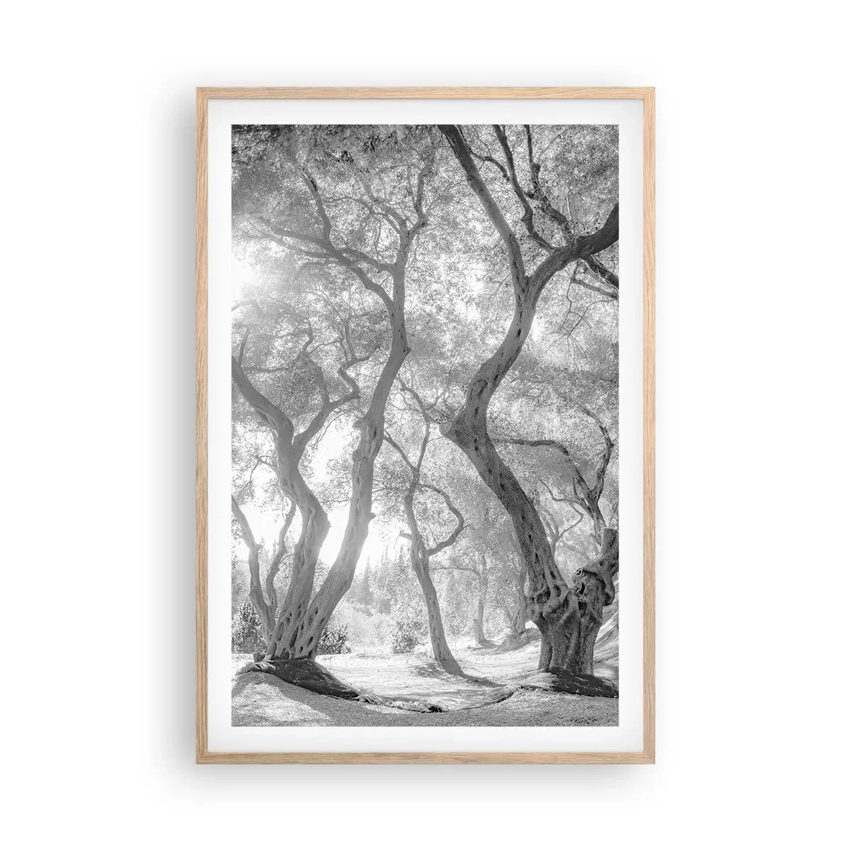 Plagát v ráme zo svetlého duba - V olivovom háji - 61x91 cm