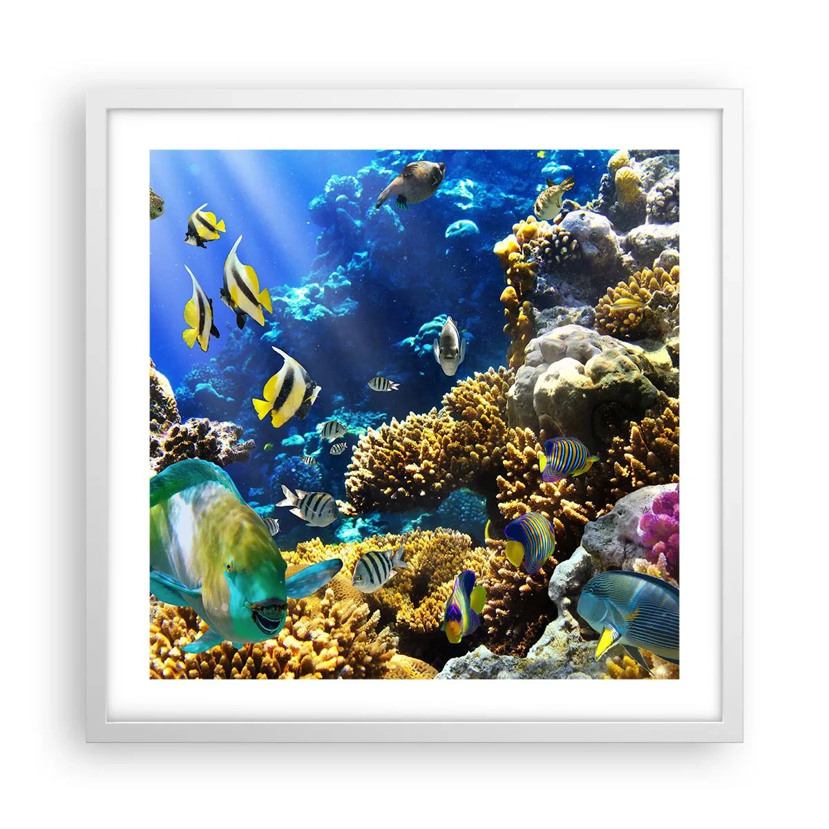 Plagát v bielom ráme - Veľká prevádzka na prázdninovom chodníku - 50x50 cm