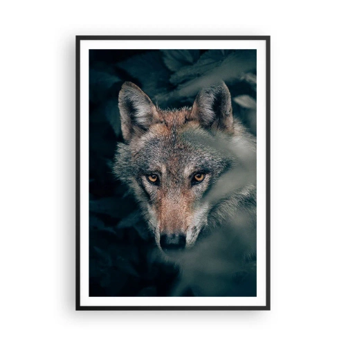 Plagát v čiernom ráme - Predátor - 70x100 cm