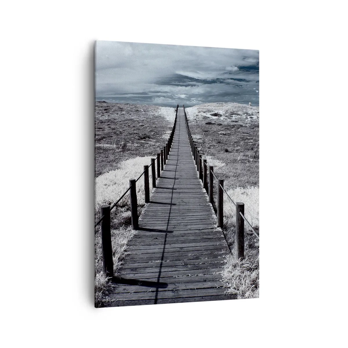 Obraz na plátne - Na samotný breh - 70x100 cm