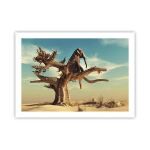 Plagát - Nový uhol pohľadu - 70x50 cm