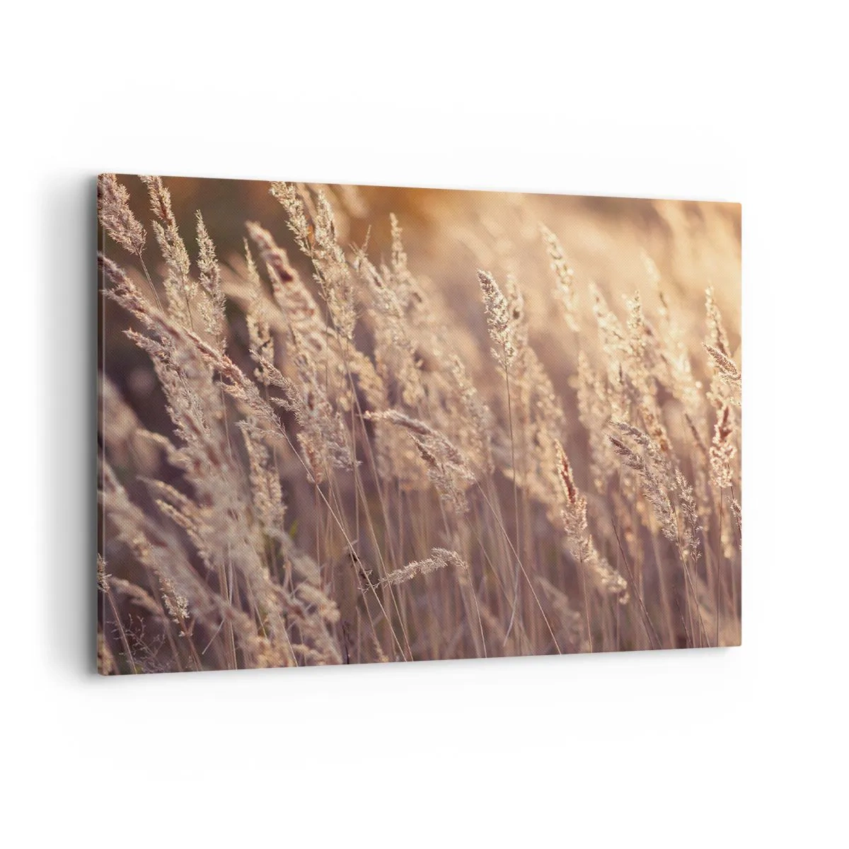 Obraz na plátne - Pripravení privítať jeseň - 100x70 cm