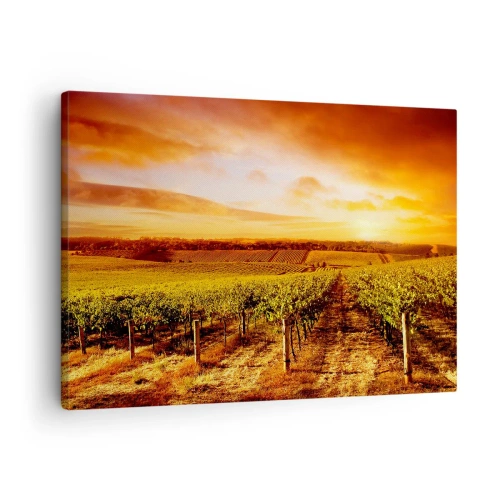Obraz na plátne - Vinohrad pri západe slnka s teplými tónmi oblohy - 70x50cm - Jemne ovocné s nádychom slnka - Moderná nástenná dekorácia do obývacej izby a spálne ARTTOR