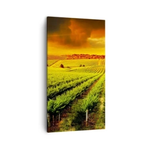 Obraz na plátne - Pod austrálskym slnkom - 45x80 cm