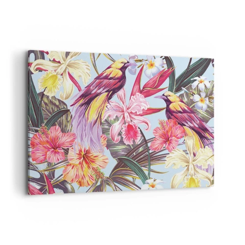 Obraz na plátne - Plátky a pierka - 100x70 cm