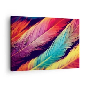 Obraz na plátne - Farebné perie v intenzívnych farbách - 70x50cm - Operená dúha - Moderná nástenná dekorácia do obývacej izby a spálne ARTTOR