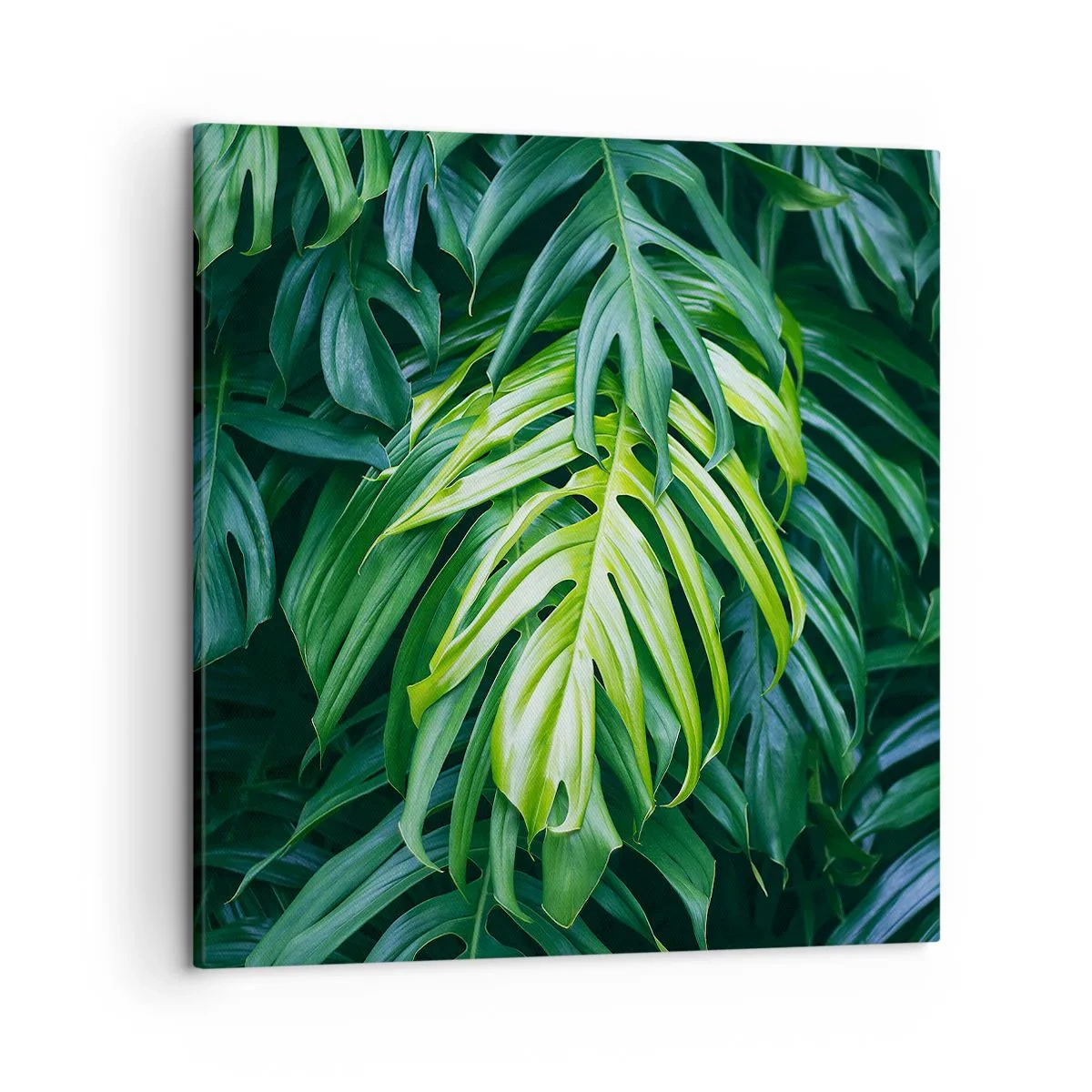 Obraz na plátne - Ponoriť sa do sviežosti - 50x50 cm