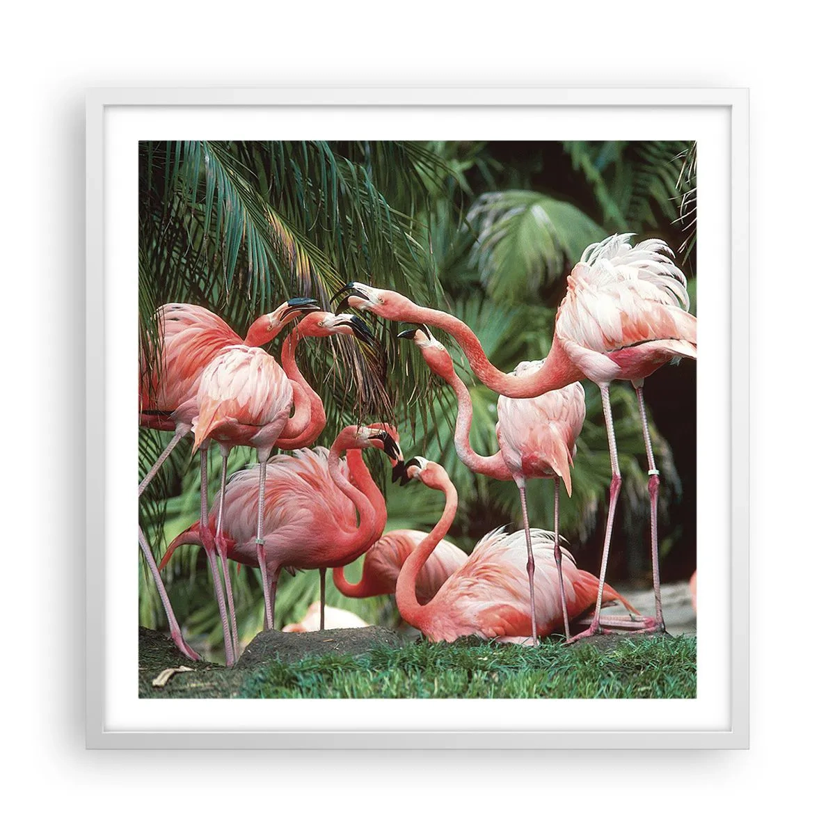 Plagát v bielom ráme - Popoludňajšie klebety - 60x60 cm