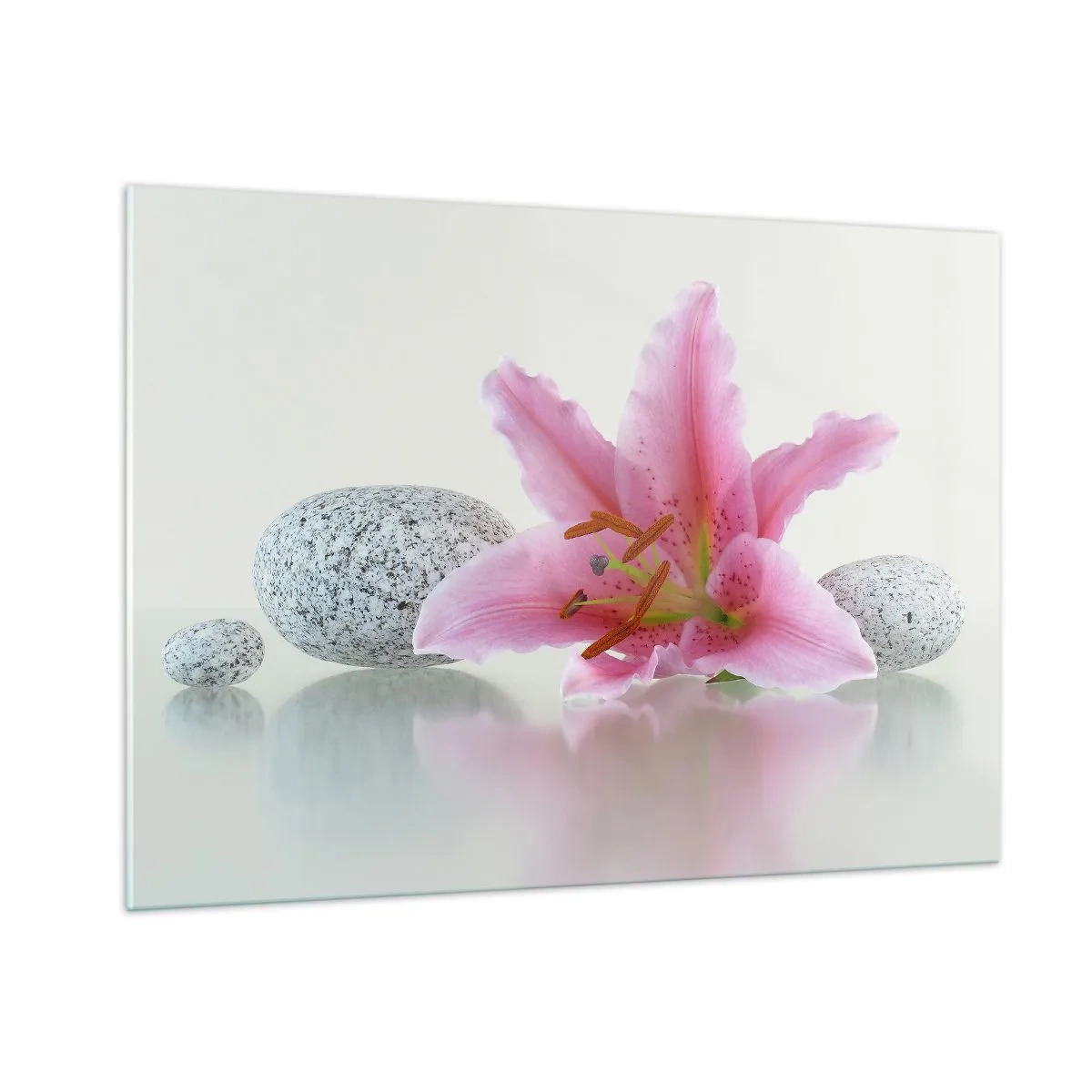 Obraz na skle - Štúdia v ružovej, šedej a bielej - 100x70 cm