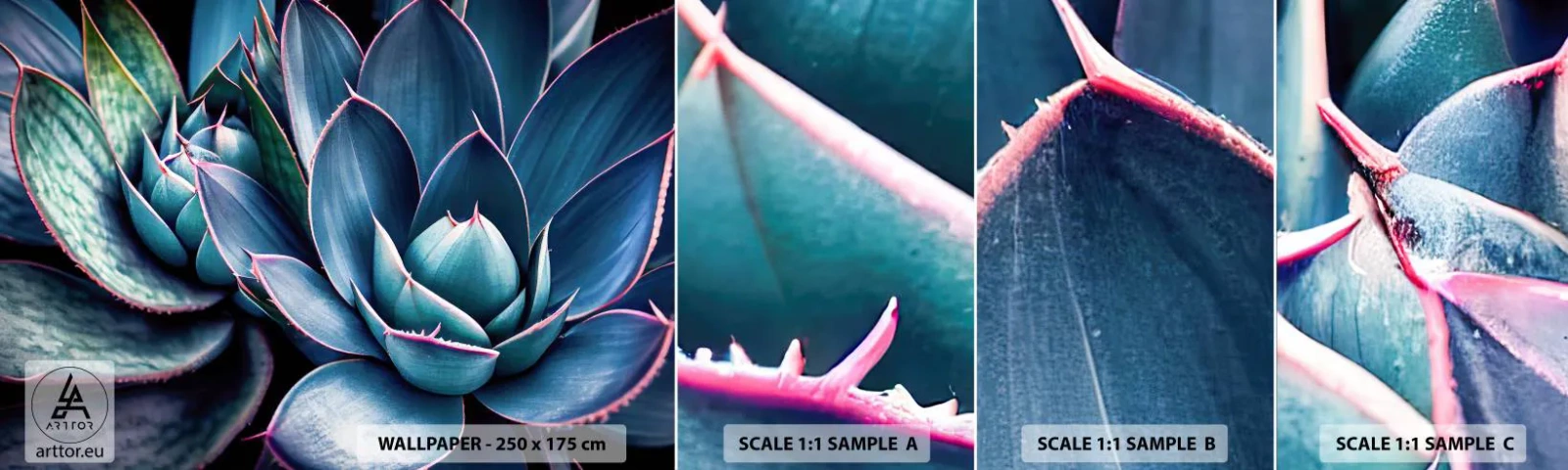 Vzorka Fototapeta Standard Eco - Vitálna sila - Kvety, Botanika, Sukulenty - 100x30 cm